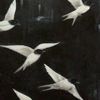 FLIGHT: Minimalist Birds in Motion Oil Painting Tranquil Balance