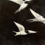 FLIGHT: Minimalist Birds in Motion Oil Painting Tranquil Balance