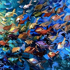 OCEANIC CONVERGENCE: Textured Impasto Painting of a Vibrant School of Fish