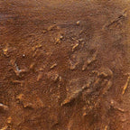 UMBRA: Textured Abstract Square Brown Oil Painting