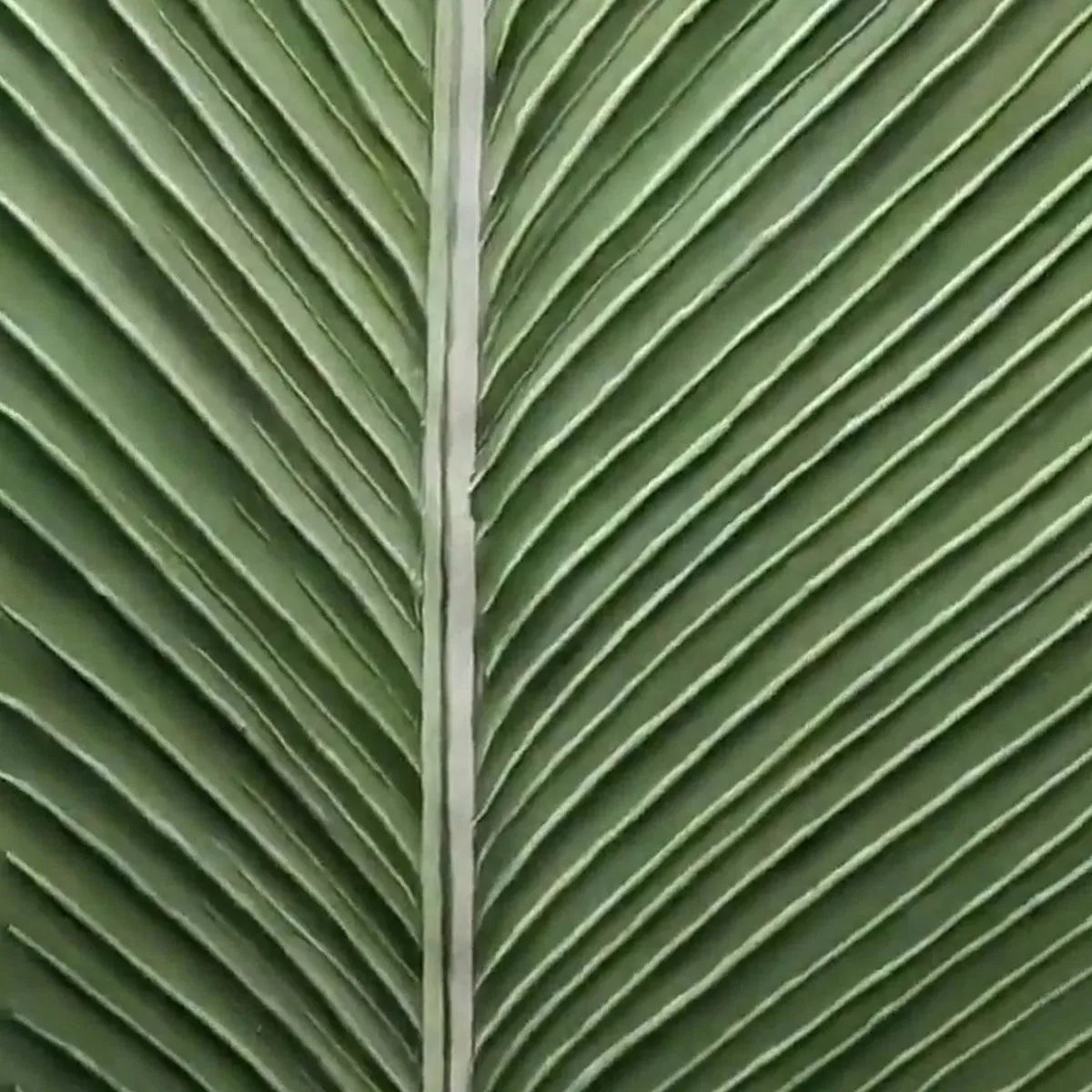 TROPICAL SERENITY: Minimalist Single Leaf Clean Lines Botanical Canvas