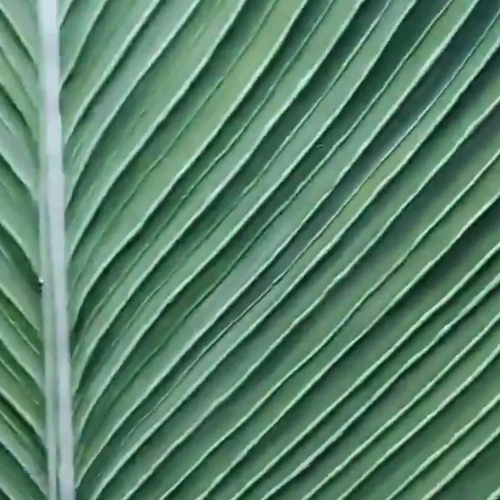 TROPICAL SERENITY: Minimalist Single Leaf Clean Lines Botanical Canvas